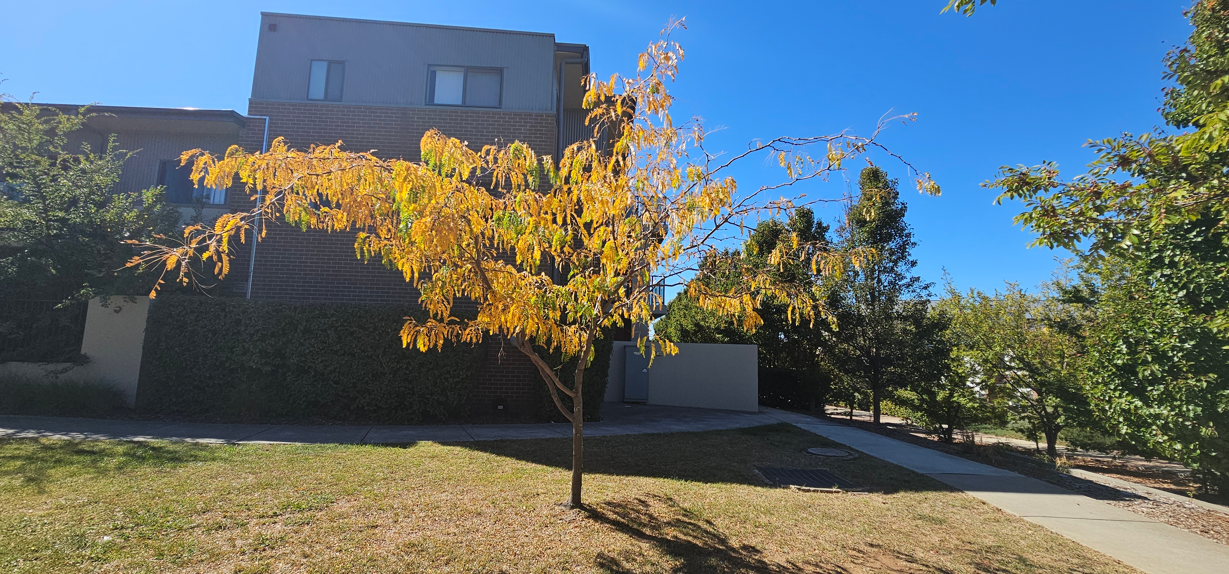 62/100 Henry Kendall St, Franklin, photo 11