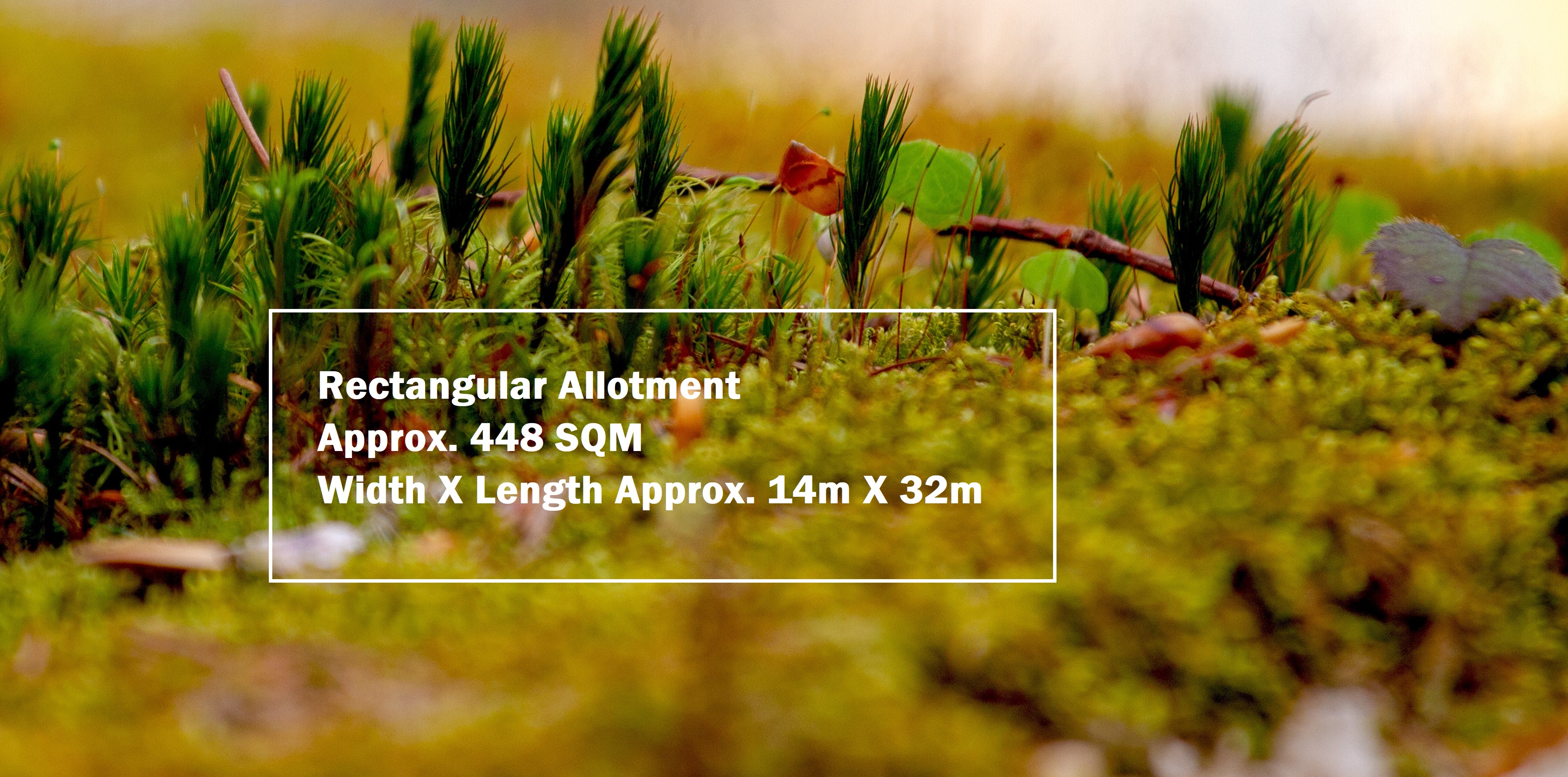 8 Eileens Way, SUNBURY VIC 3429