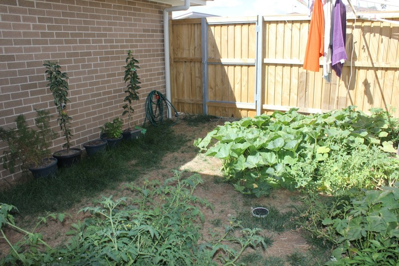 108 Roden Cutler Drive, Bonner, photo 9