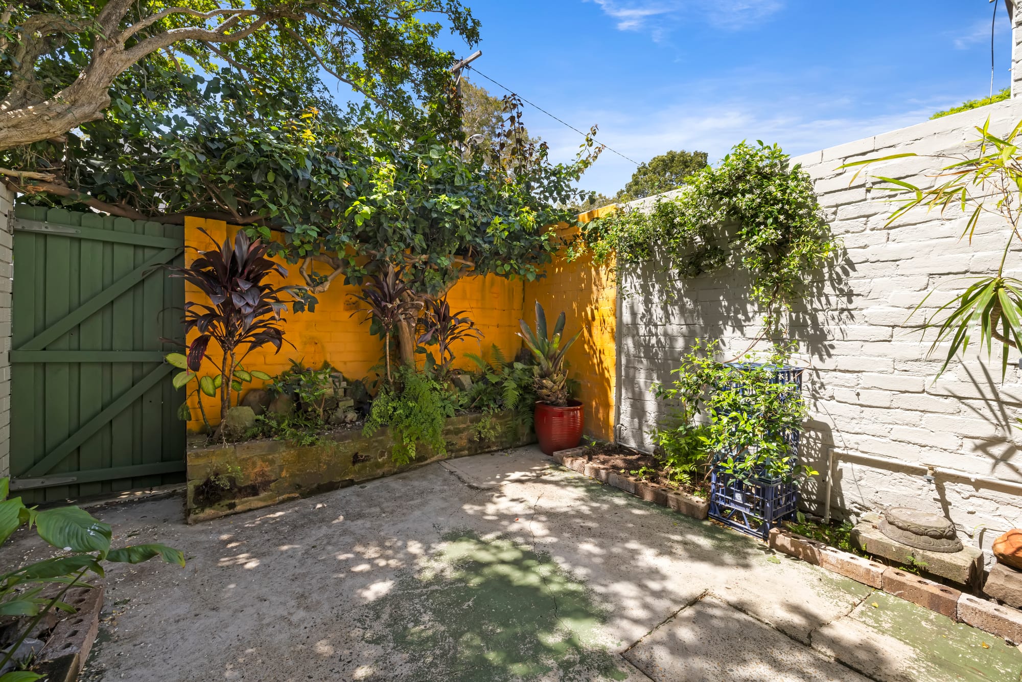 14 Kendall Street, Surry Hills For Lease by The Gallery Real Estate - image 11