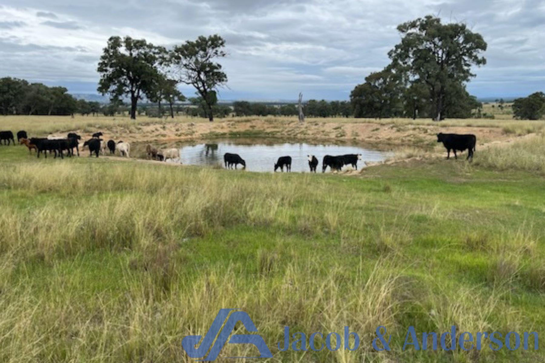 188 Bullarook Road, COOLAH NSW 2843