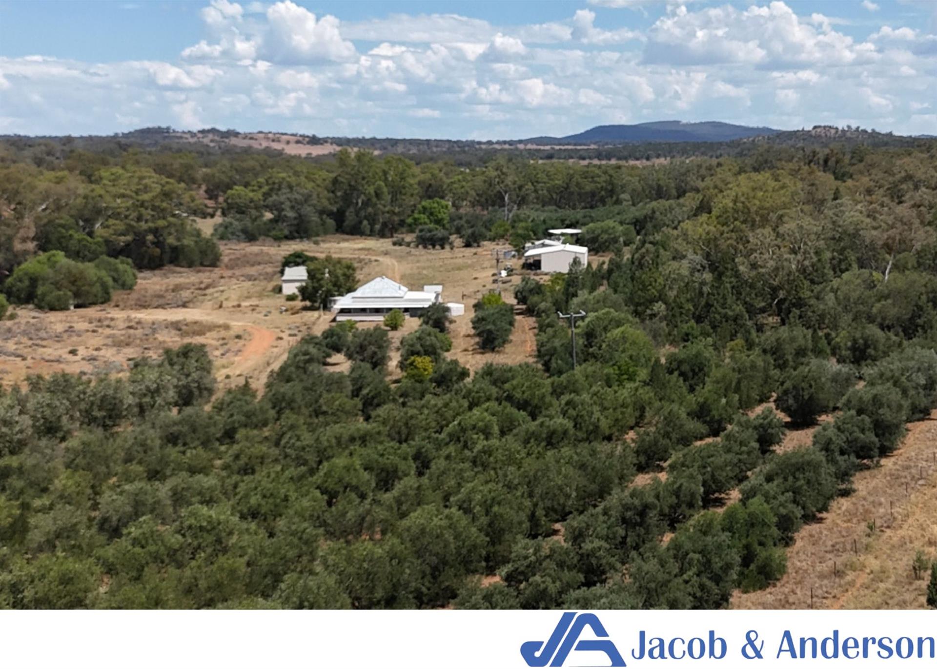 169 Doubleday Road, GUNNEDAH NSW 2380