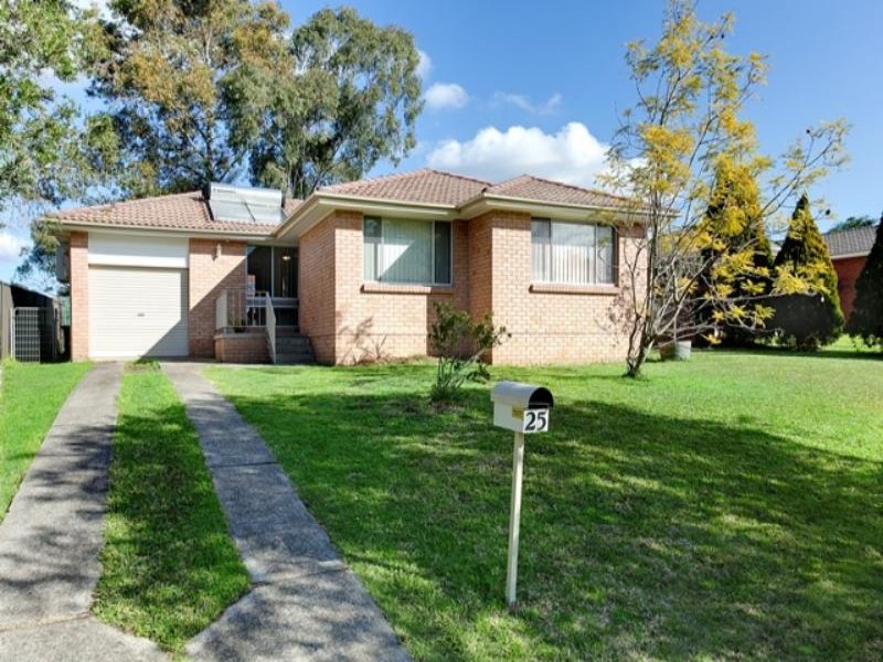 25 Ambrosia St, MACQUARIE FIELDS NSW 2564