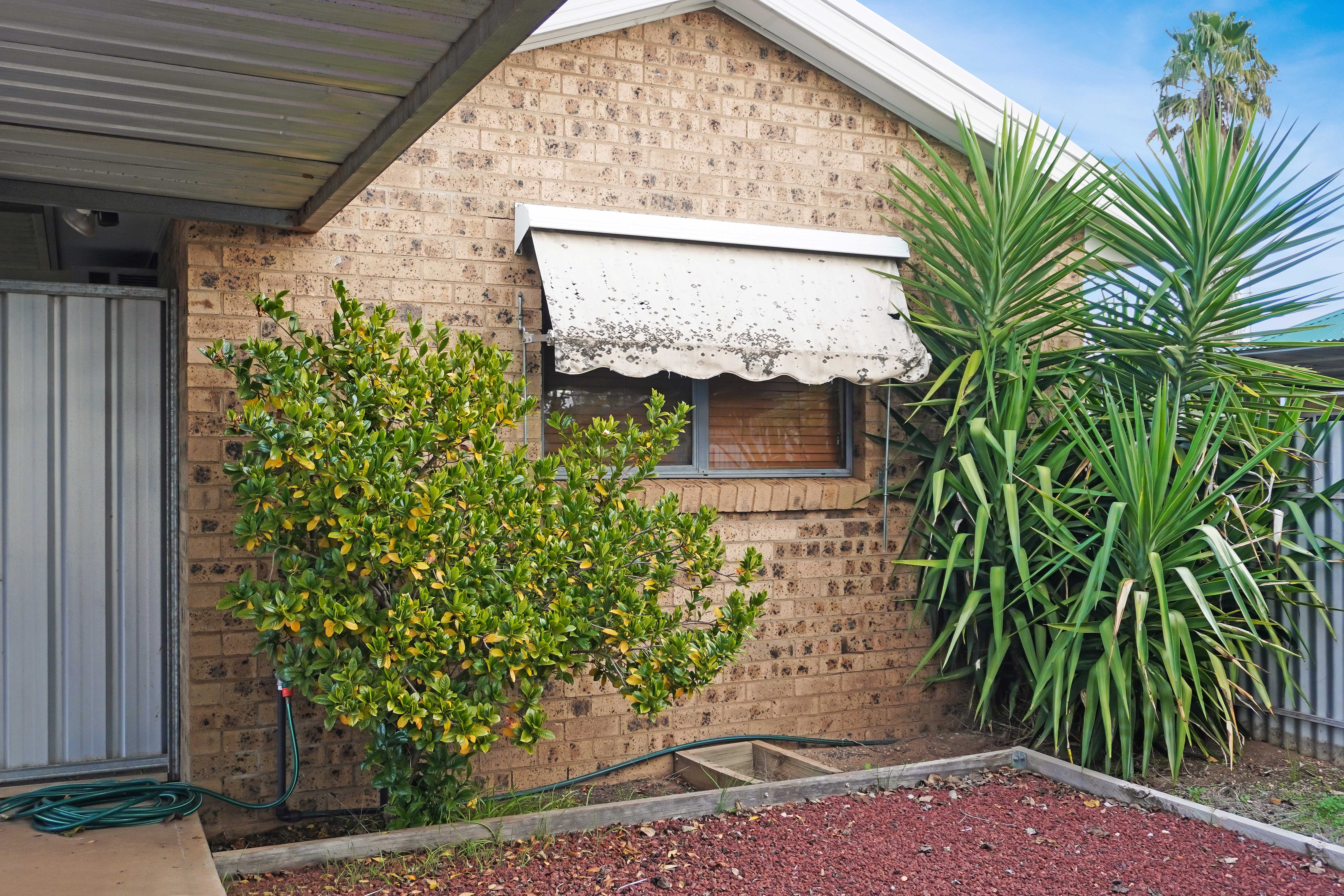 62a William Street, FORBES NSW 2871