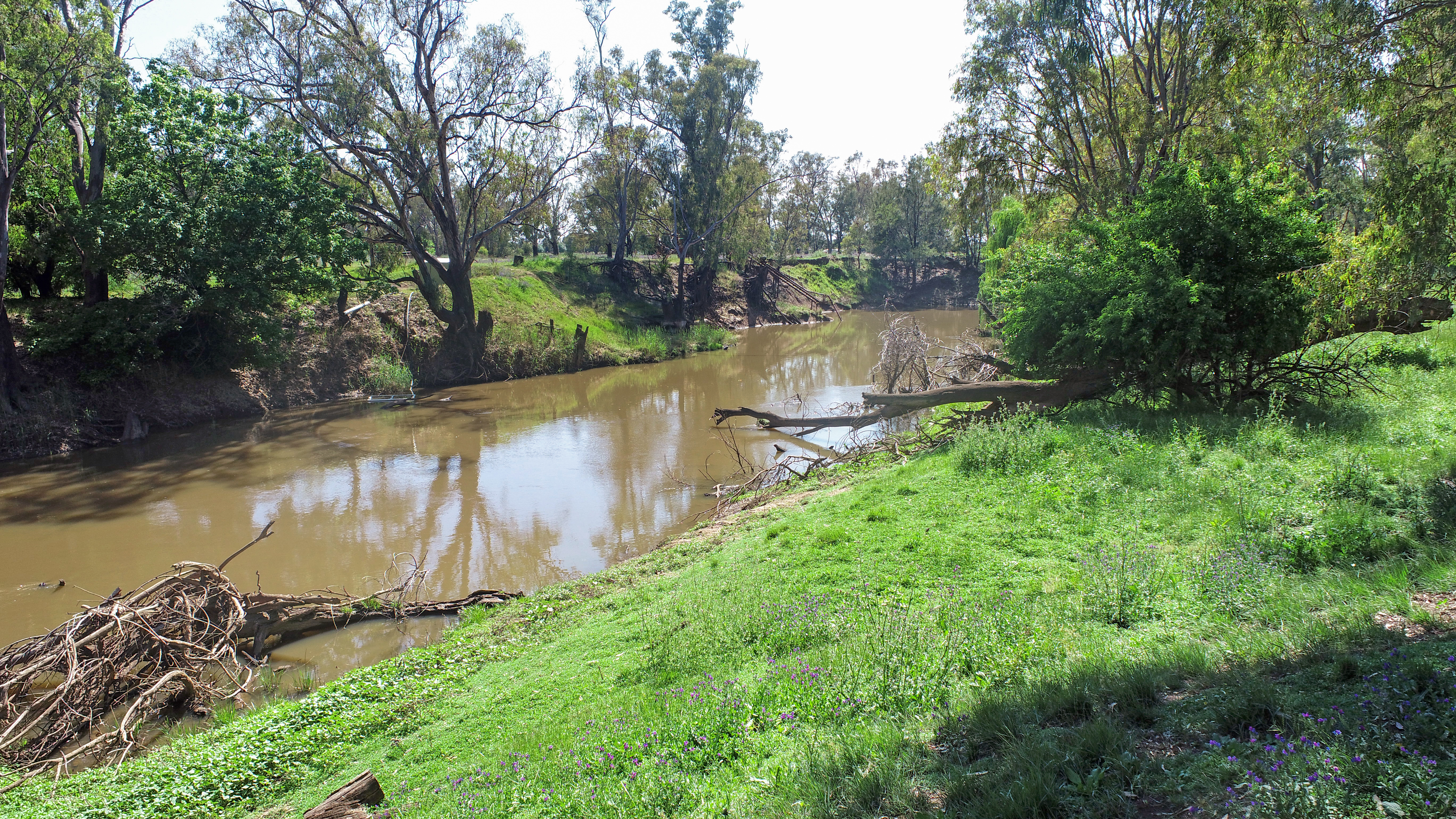 Licence 617789 Wandary Lane, FORBES NSW 2871