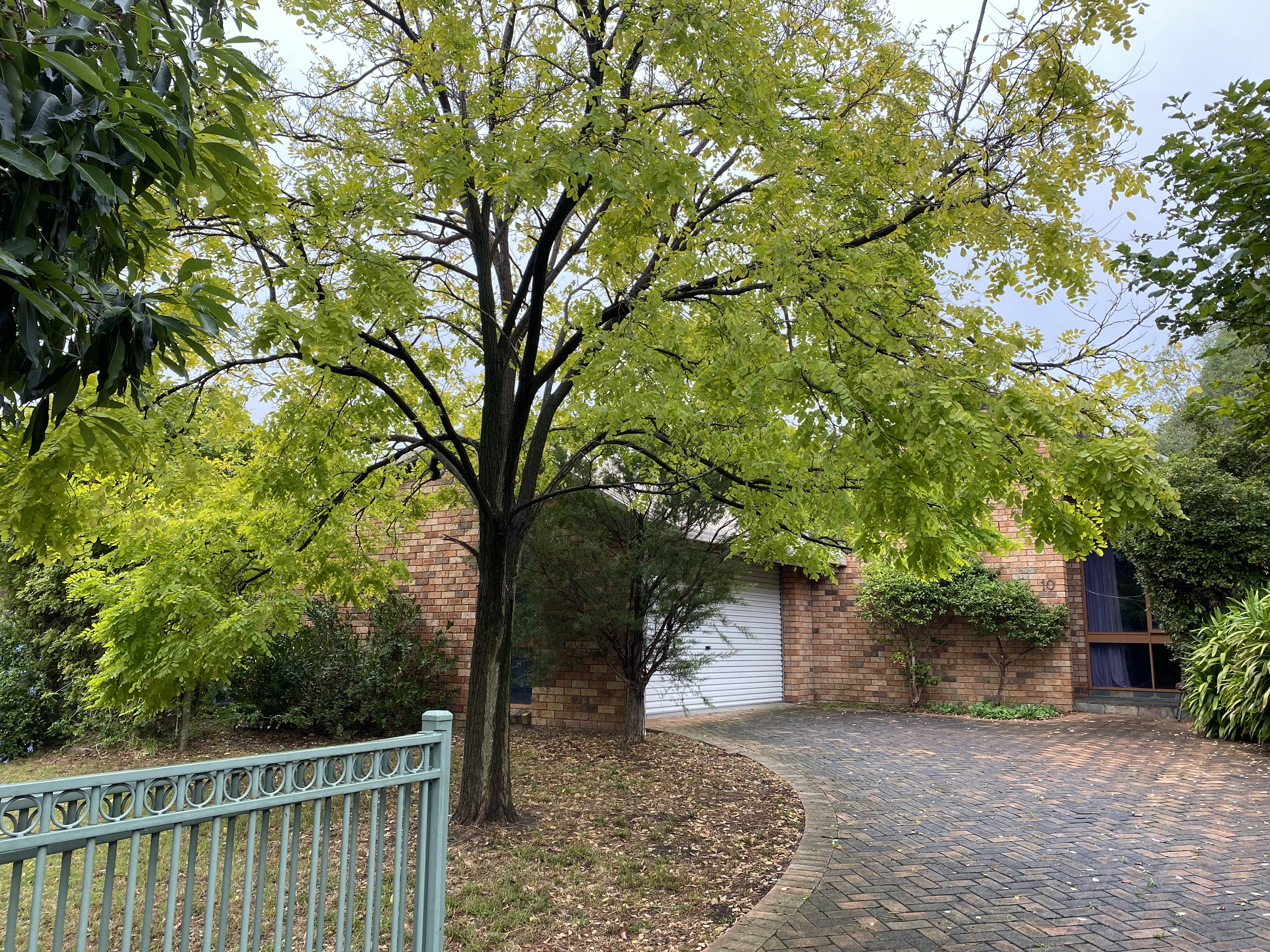 10 Leonard Street, DEEPDENE VIC 3103