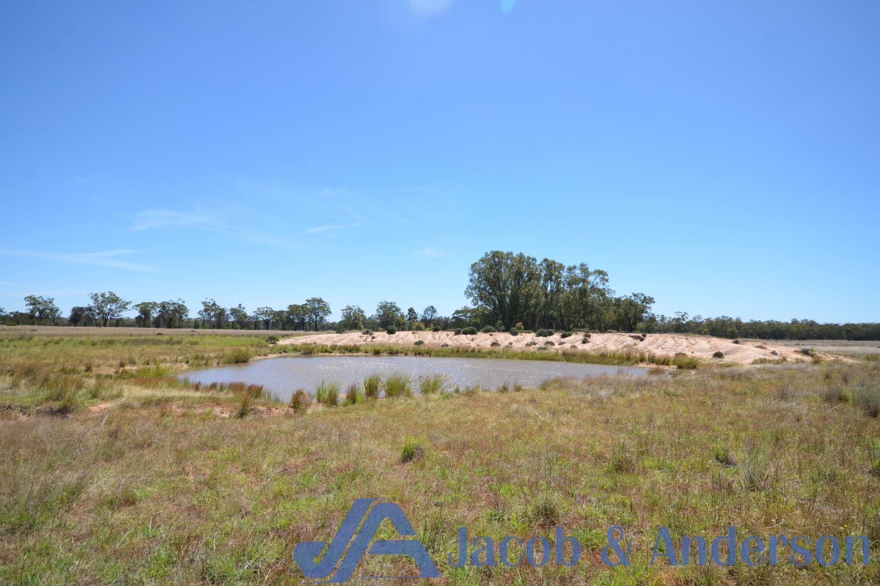 522 Baan Baa Road, BAAN BAA NSW 2390