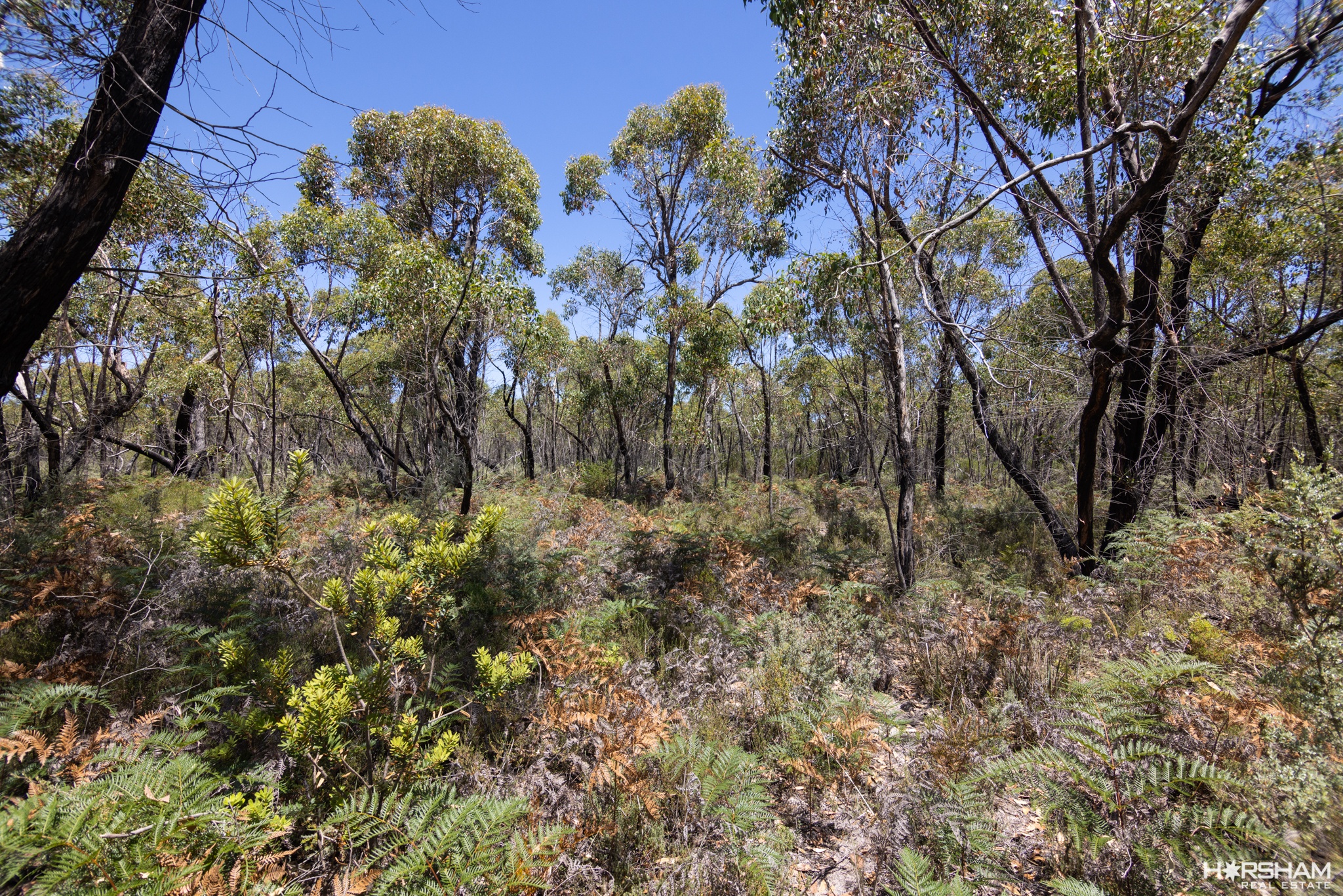 12 Patricias Road, EDENHOPE VIC 3318