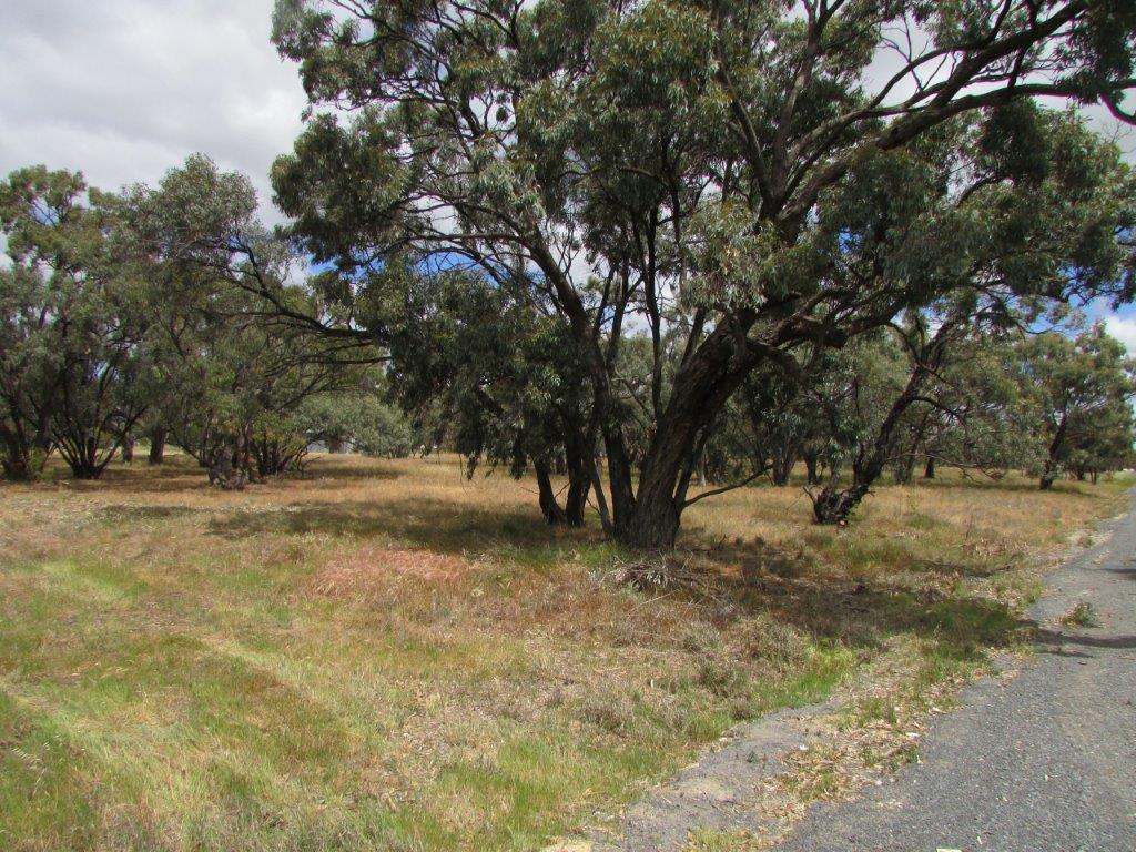 1 SIMSON STREET, BRIM VIC 3391