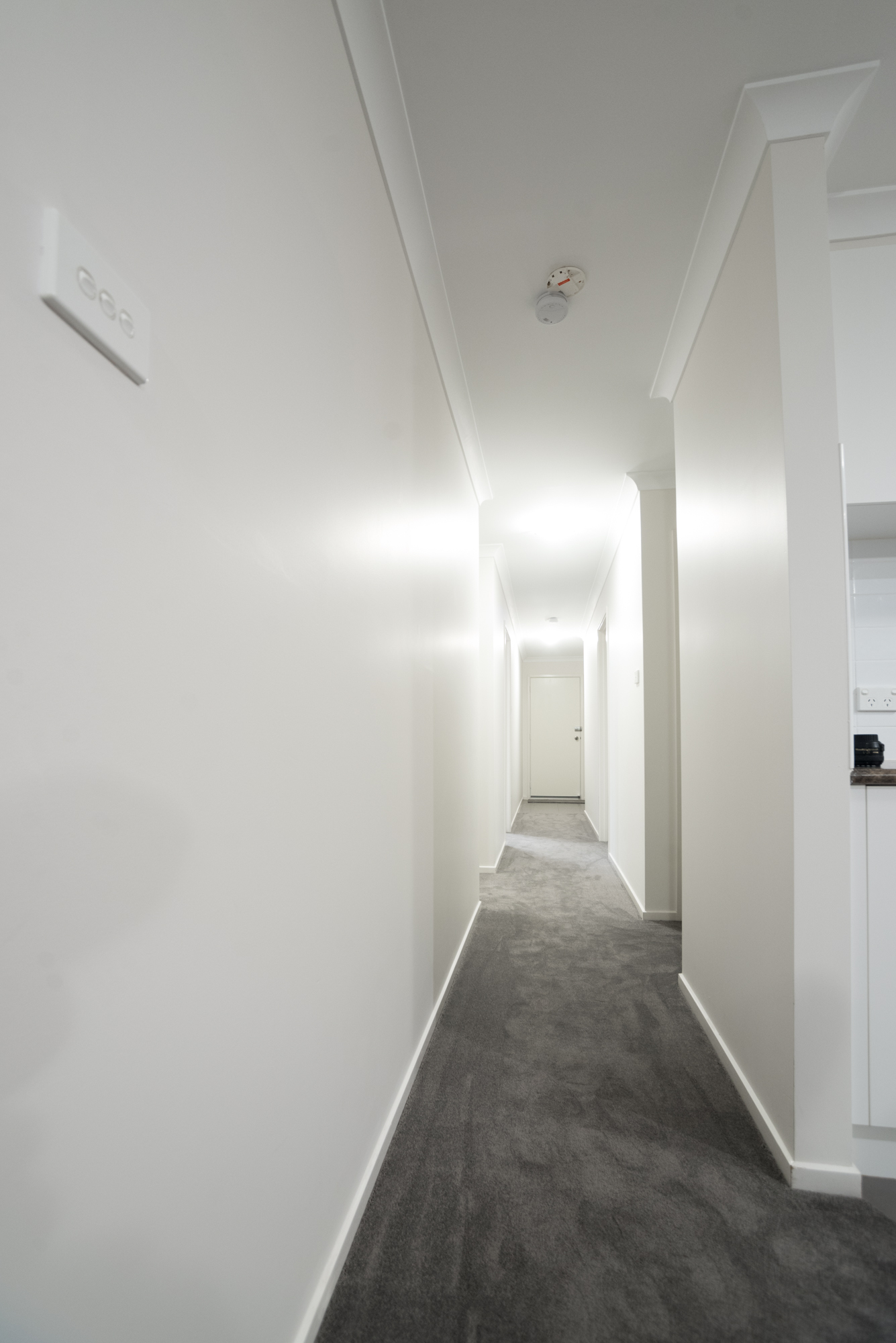 61 Wunderly Circuit, Macgregor, photo 9