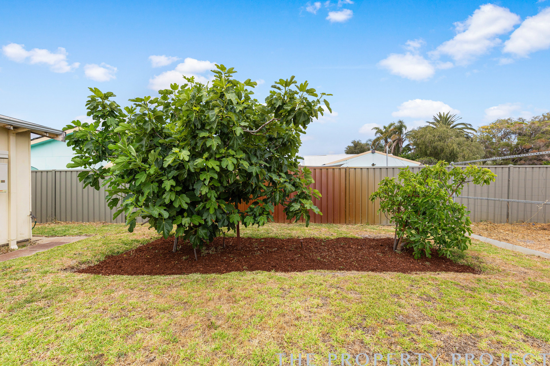 8 Flinders Street Falcon WA 6210