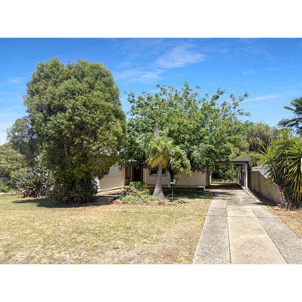 61 Clement Street, FORBES NSW 2871