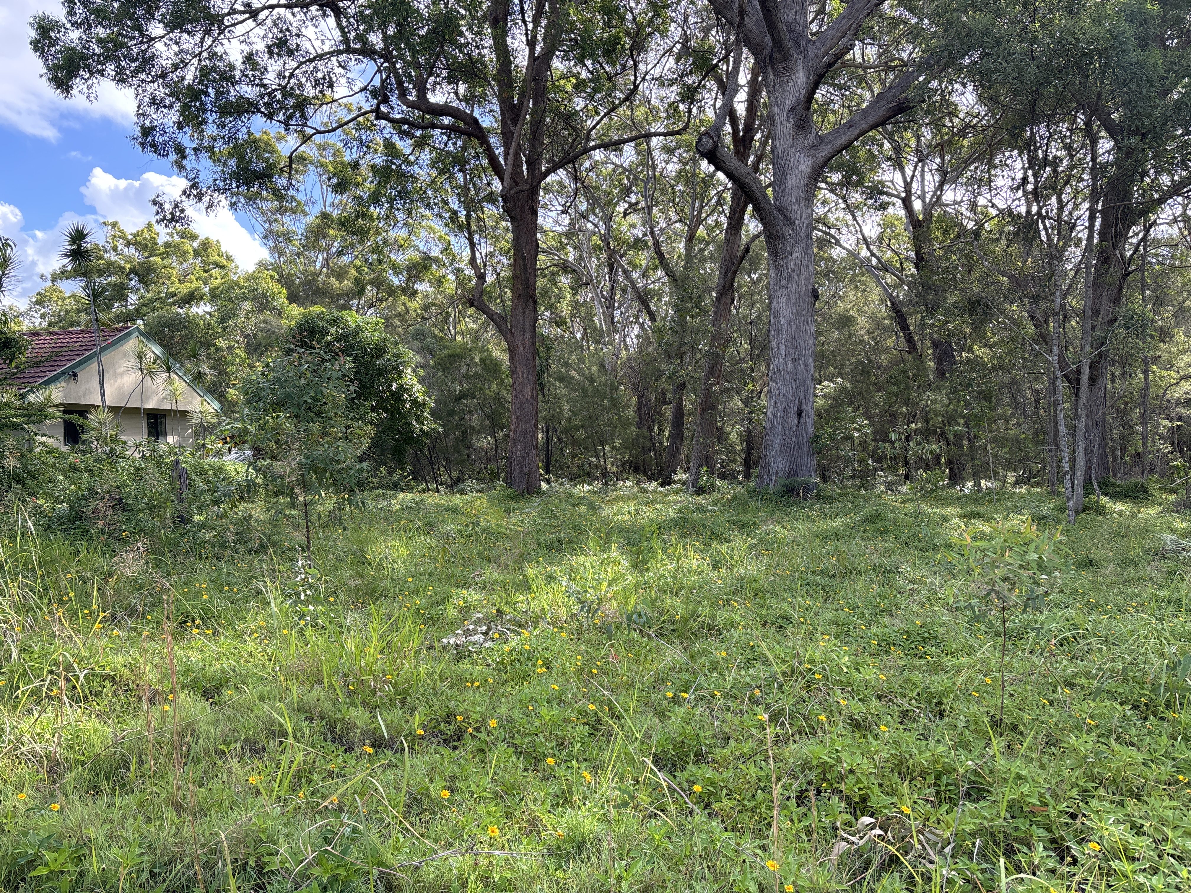 26 Jasper Street, RUSSELL ISLAND QLD 4184