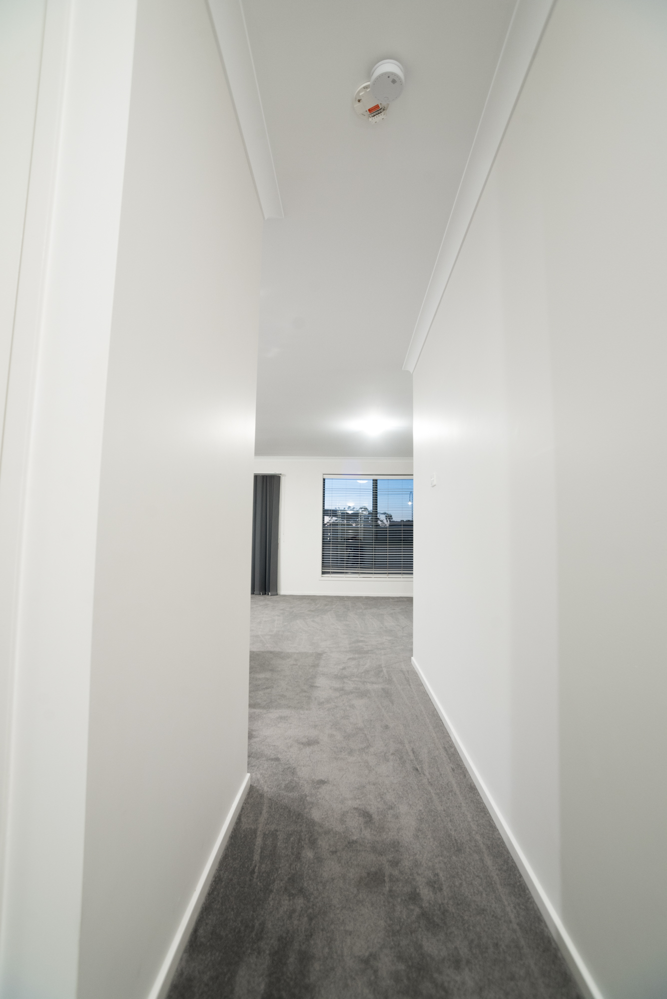 61 Wunderly Circuit, Macgregor, photo 8