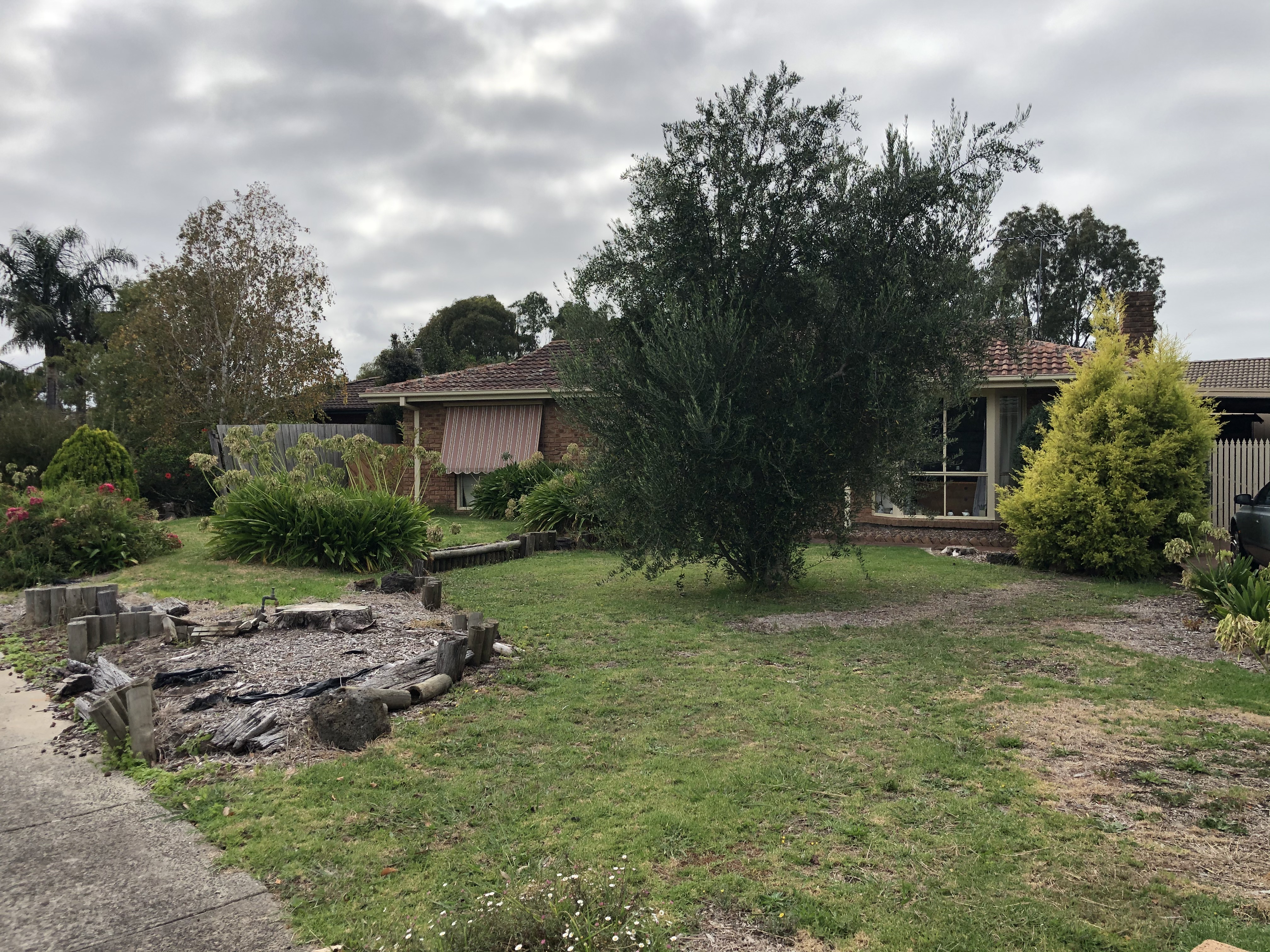 11 Aurea Court, NARRE WARREN VIC 3805