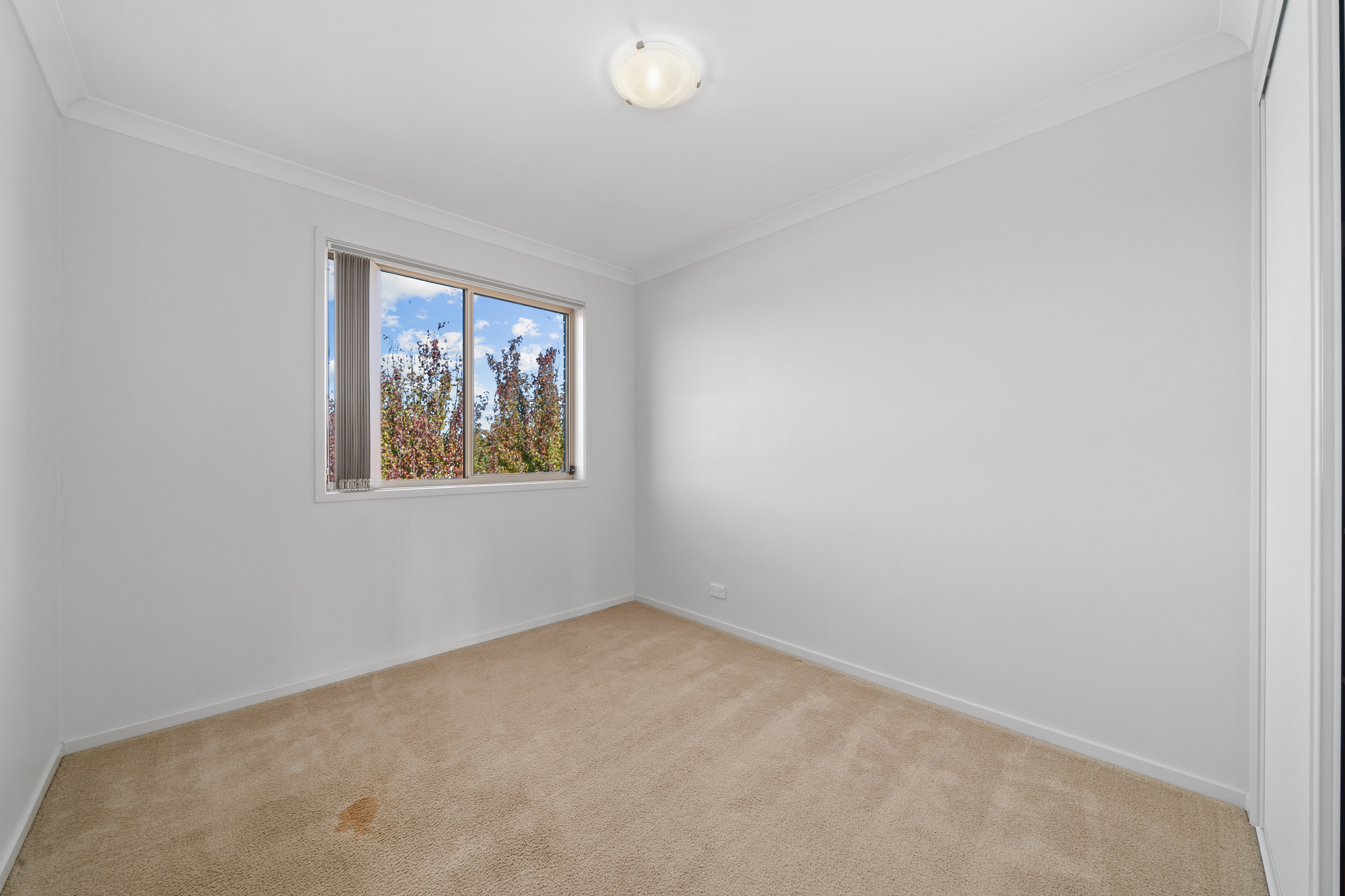 118 Oodgeroo Avenue, Franklin, photo 8