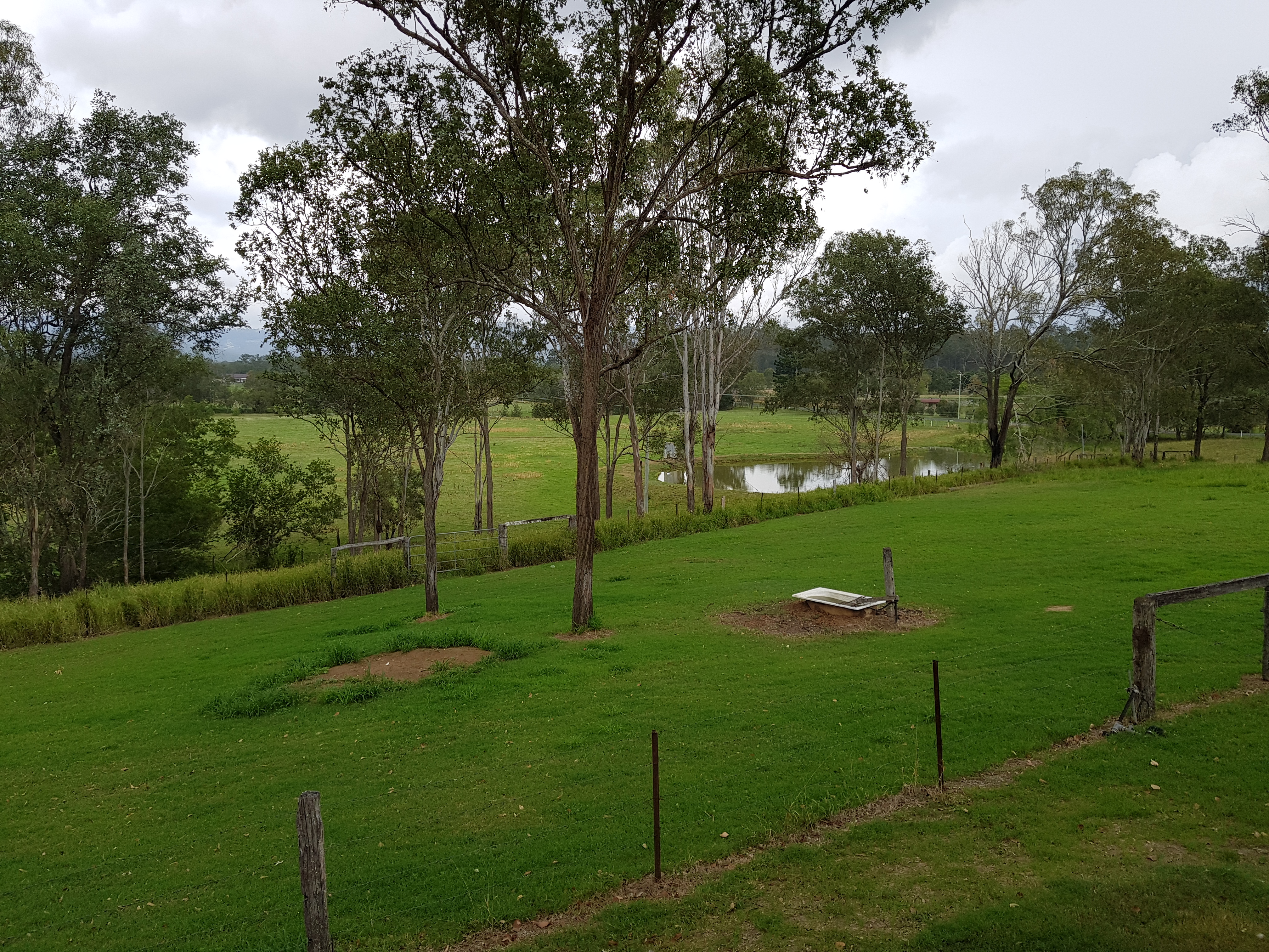 196 Postmans Ridge RD, POSTMANS RIDGE QLD 4352