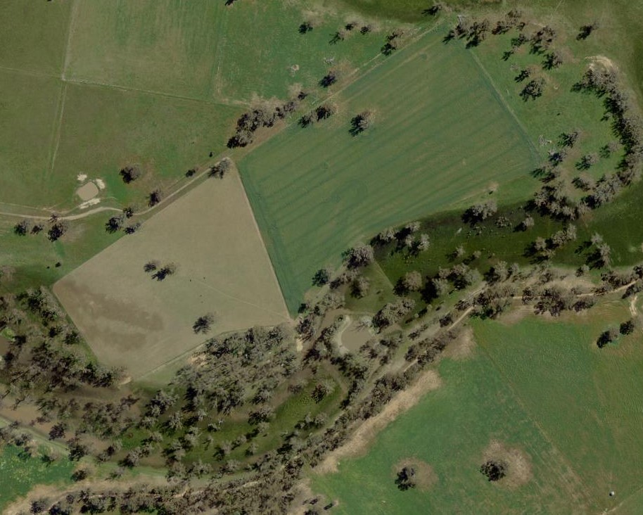 1359 Saddleback Road, FORBES NSW 2871