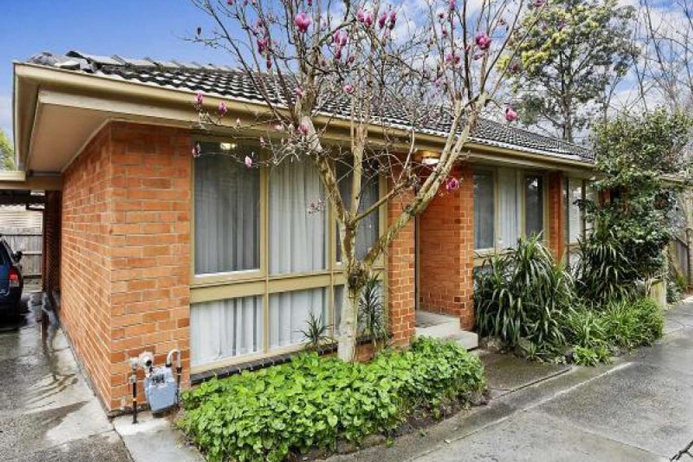 5 / 11 Eddy Street, CAMBERWELL VIC 3124