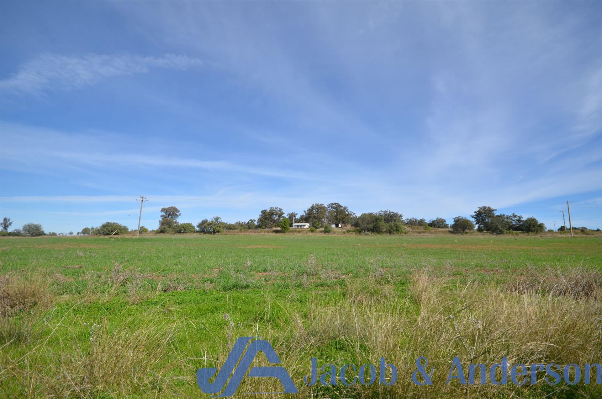 731 Caloola Road, BOGGABRI NSW 2382