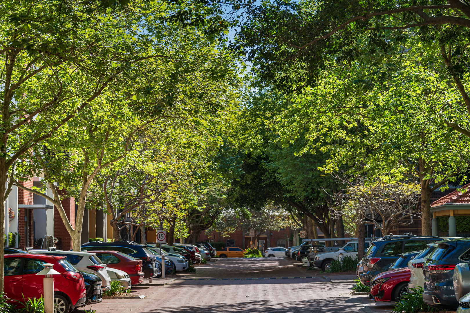 F17/780 Bourke Street, Redfern Leased by The Gallery Real Estate - image 12