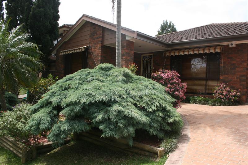 48 Amundsen St, LEUMEAH NSW 2560