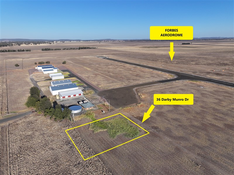 36 Darby Munro Drive, FORBES NSW 2871