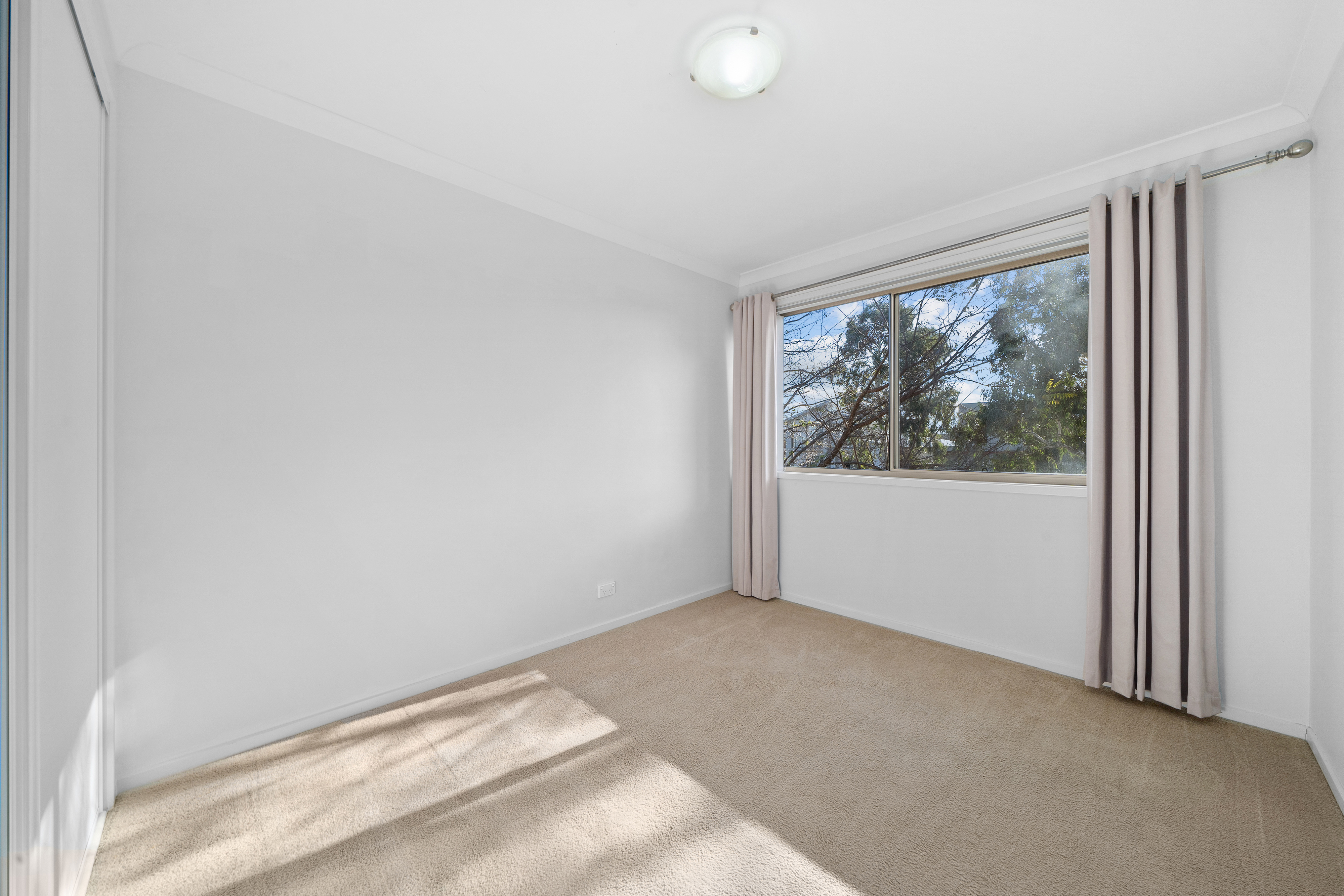 118 Oodgeroo Avenue, Franklin, photo 9