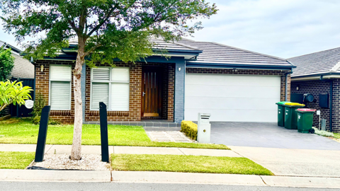 12 Panicum Street, DENHAM COURT NSW 2565