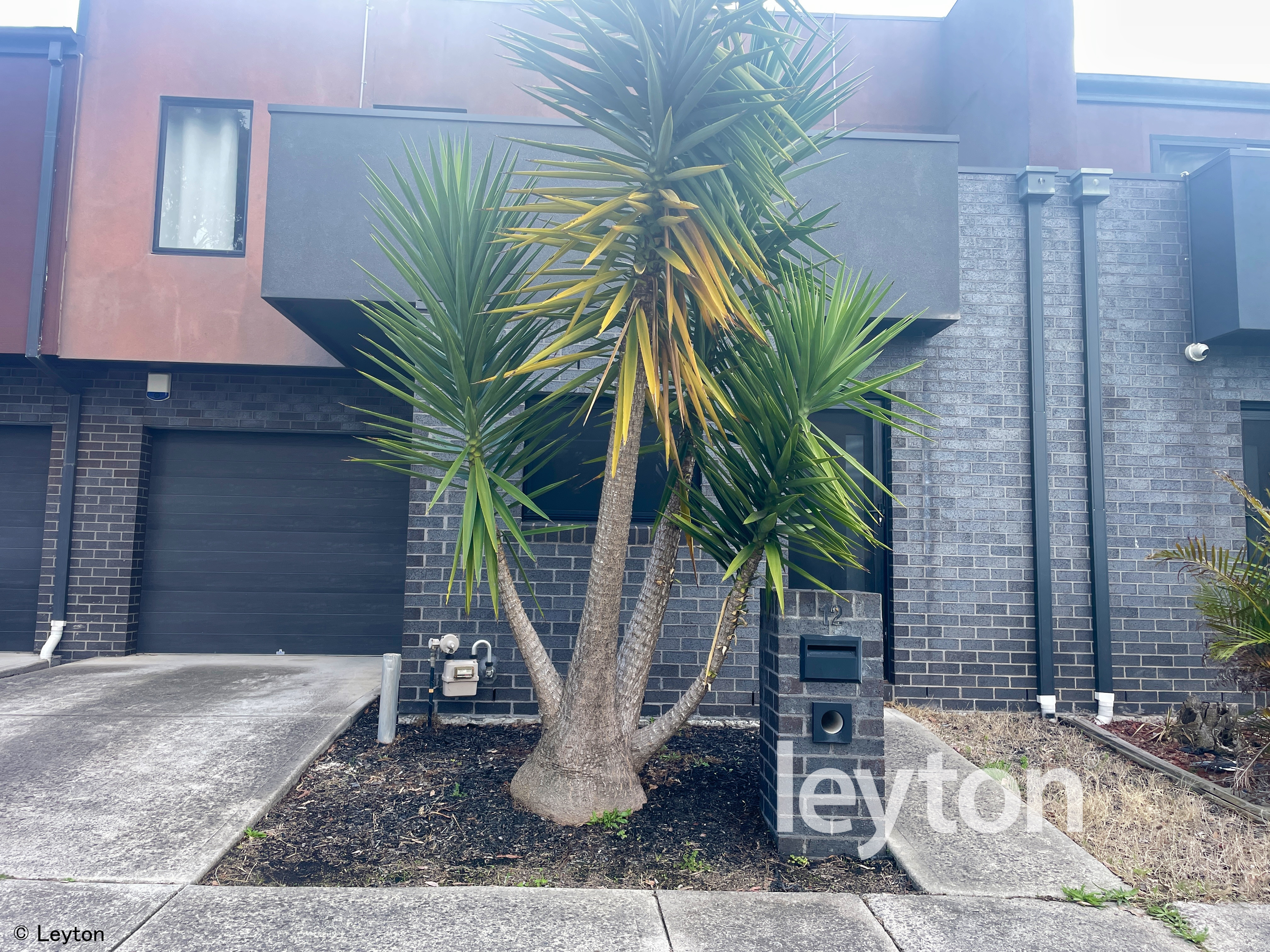 12 Avon Street, NOBLE PARK VIC 3174