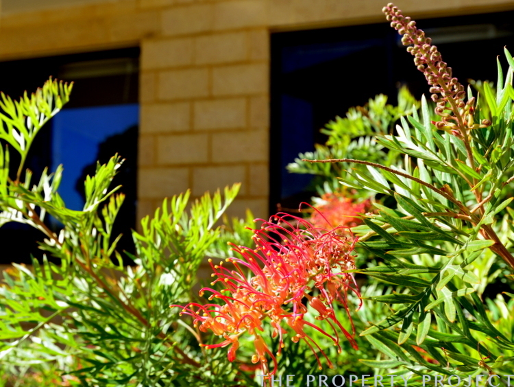 4 3 Elward Place Balga WA 6061
