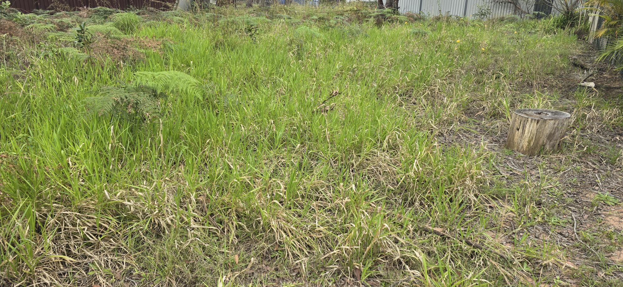 37 Hemp Hill, RUSSELL ISLAND QLD 4184