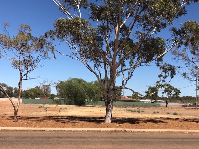 75 King Street, COOLGARDIE WA 6429