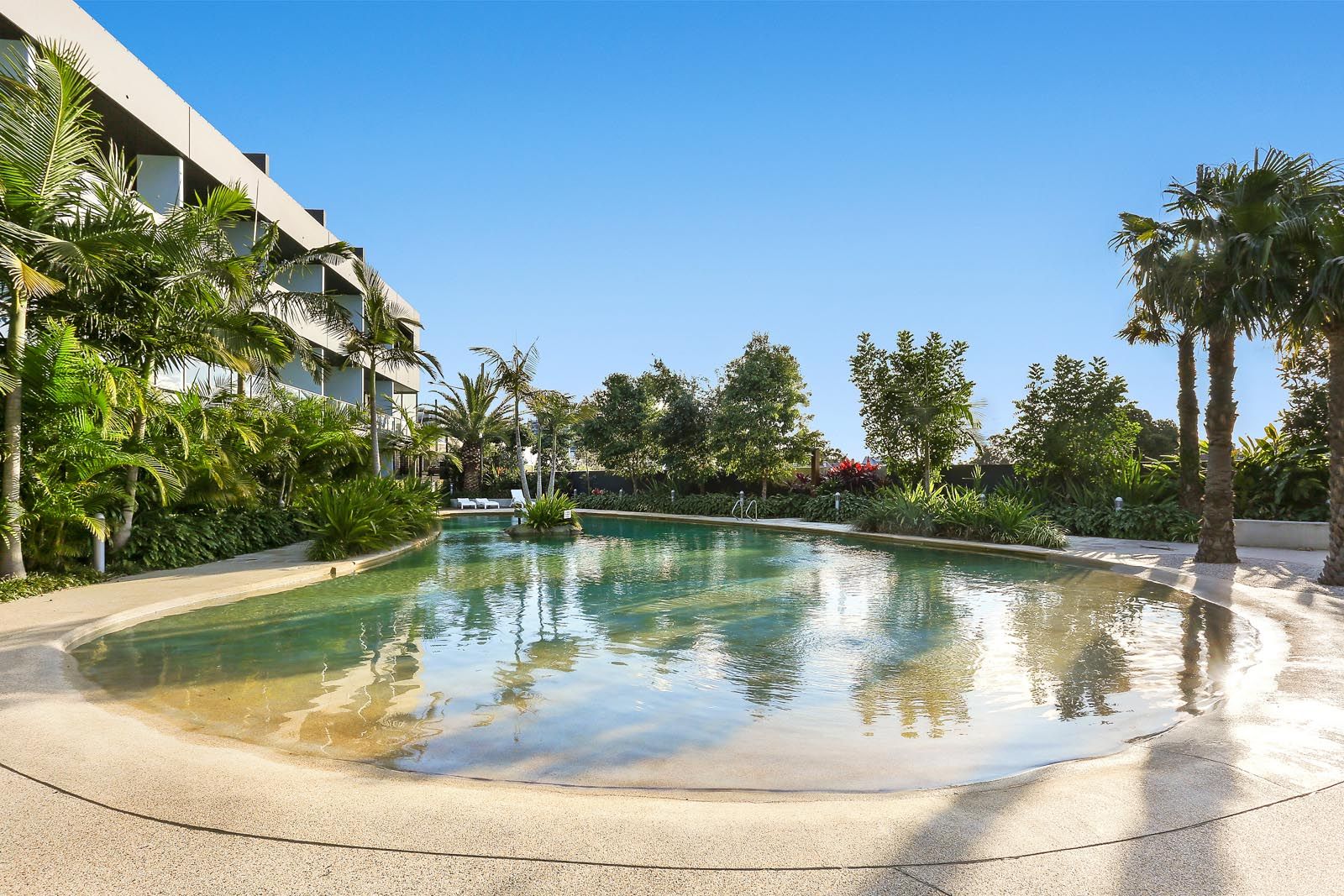 502/13 Joynton Ave, Zetland For Lease by The Gallery Real Estate - image 8