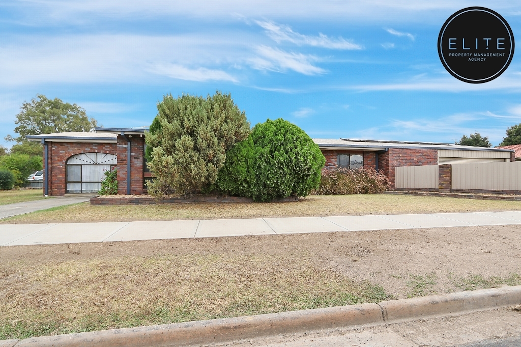 466 Schaefer Street, LAVINGTON NSW 2641