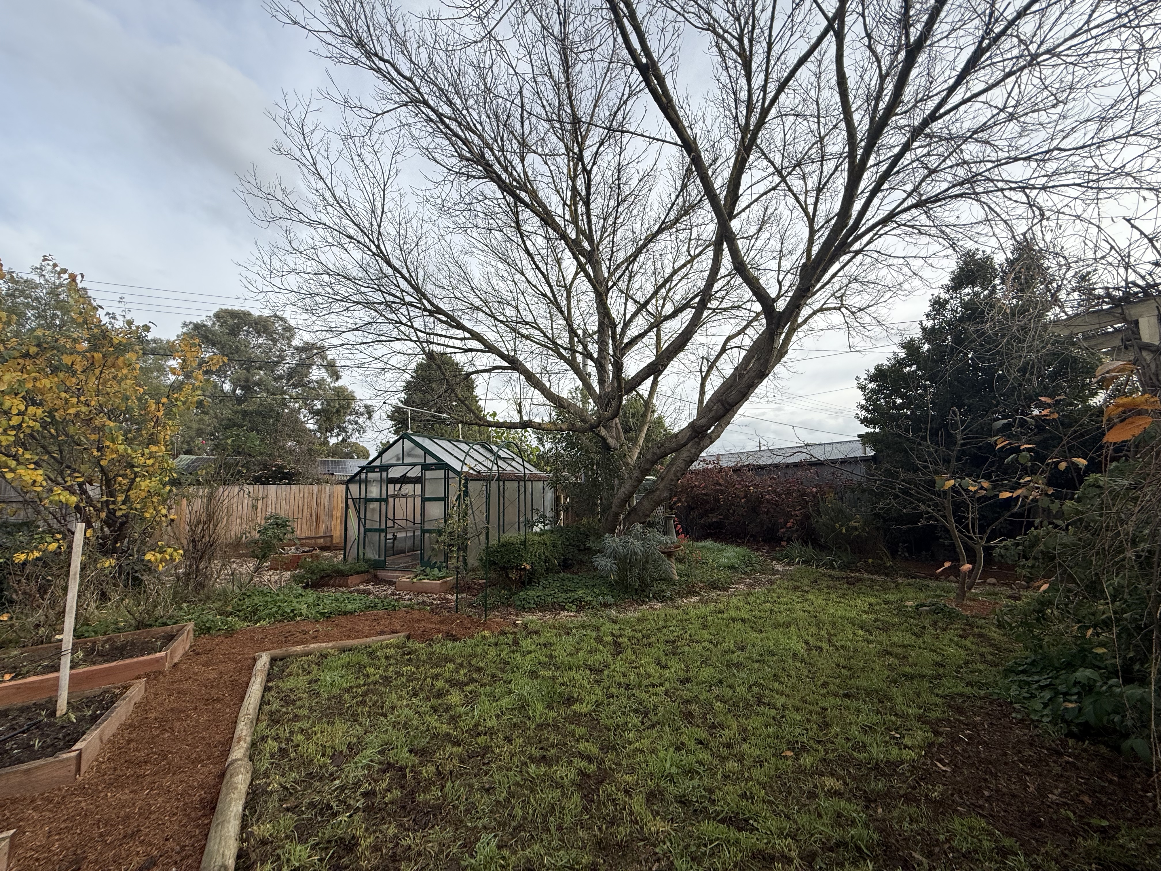 22 Burnside St, Watson, photo 9