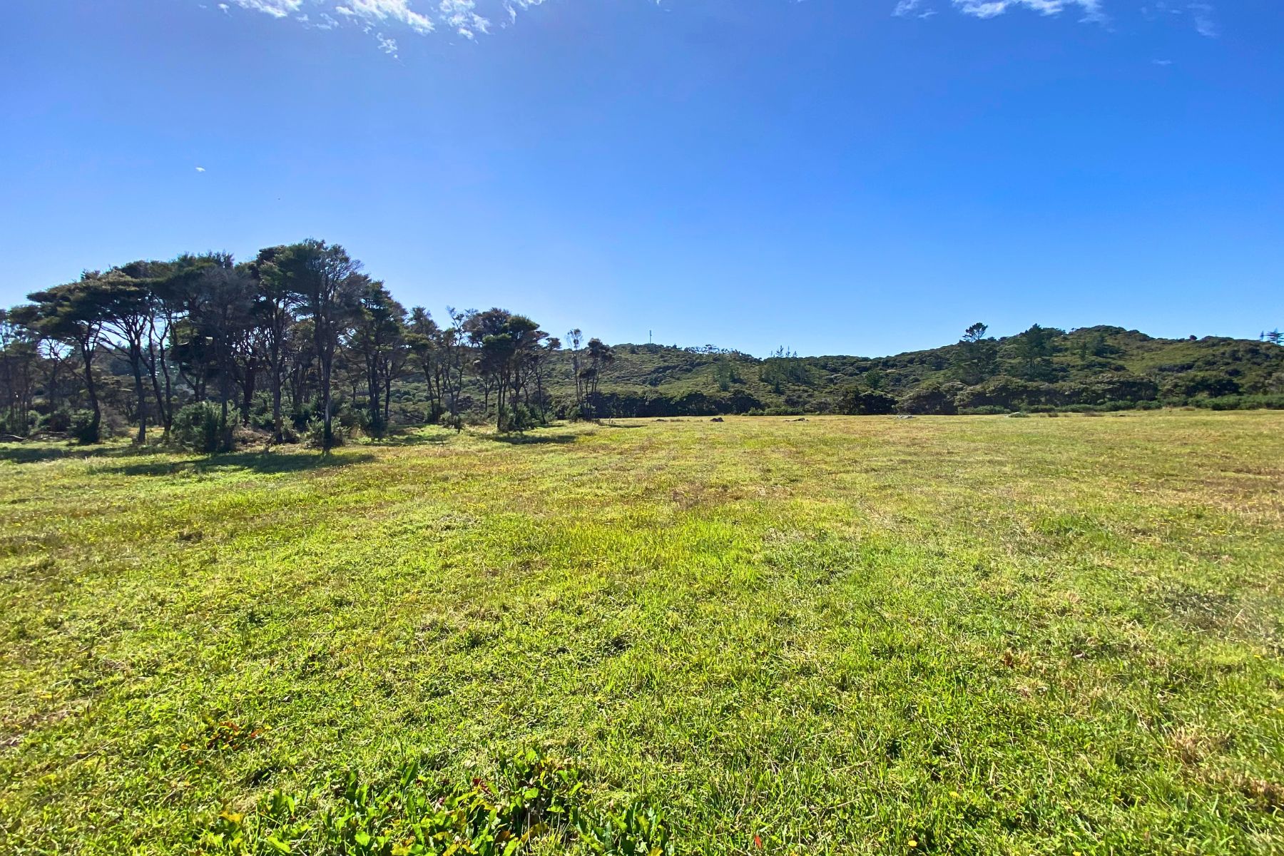 Lot 3 / 161 Wharariki Road, PUPONGA TASMAN 7073