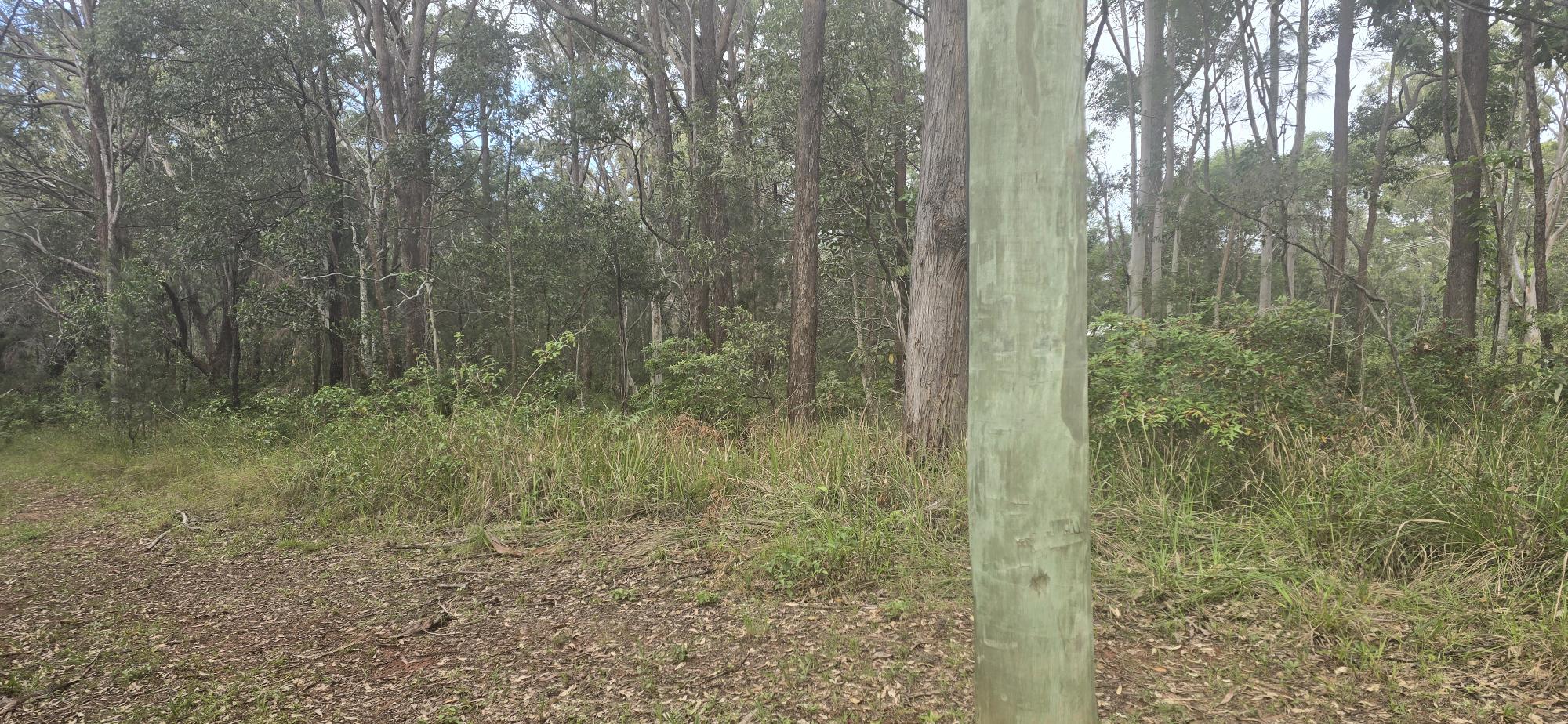 14 Eldon Drive, RUSSELL ISLAND QLD 4184