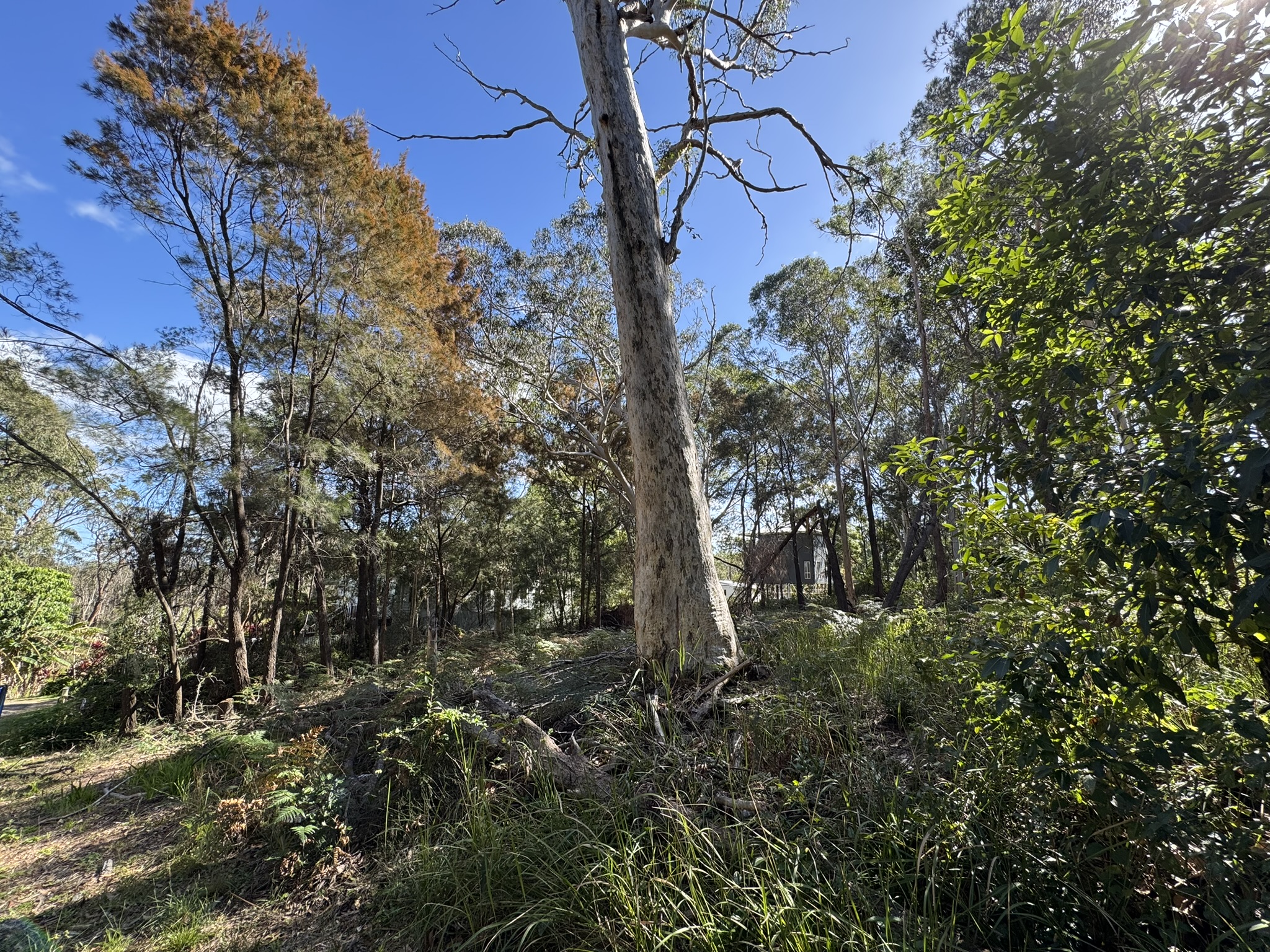 7 TULIP STREET, RUSSELL ISLAND QLD 4184