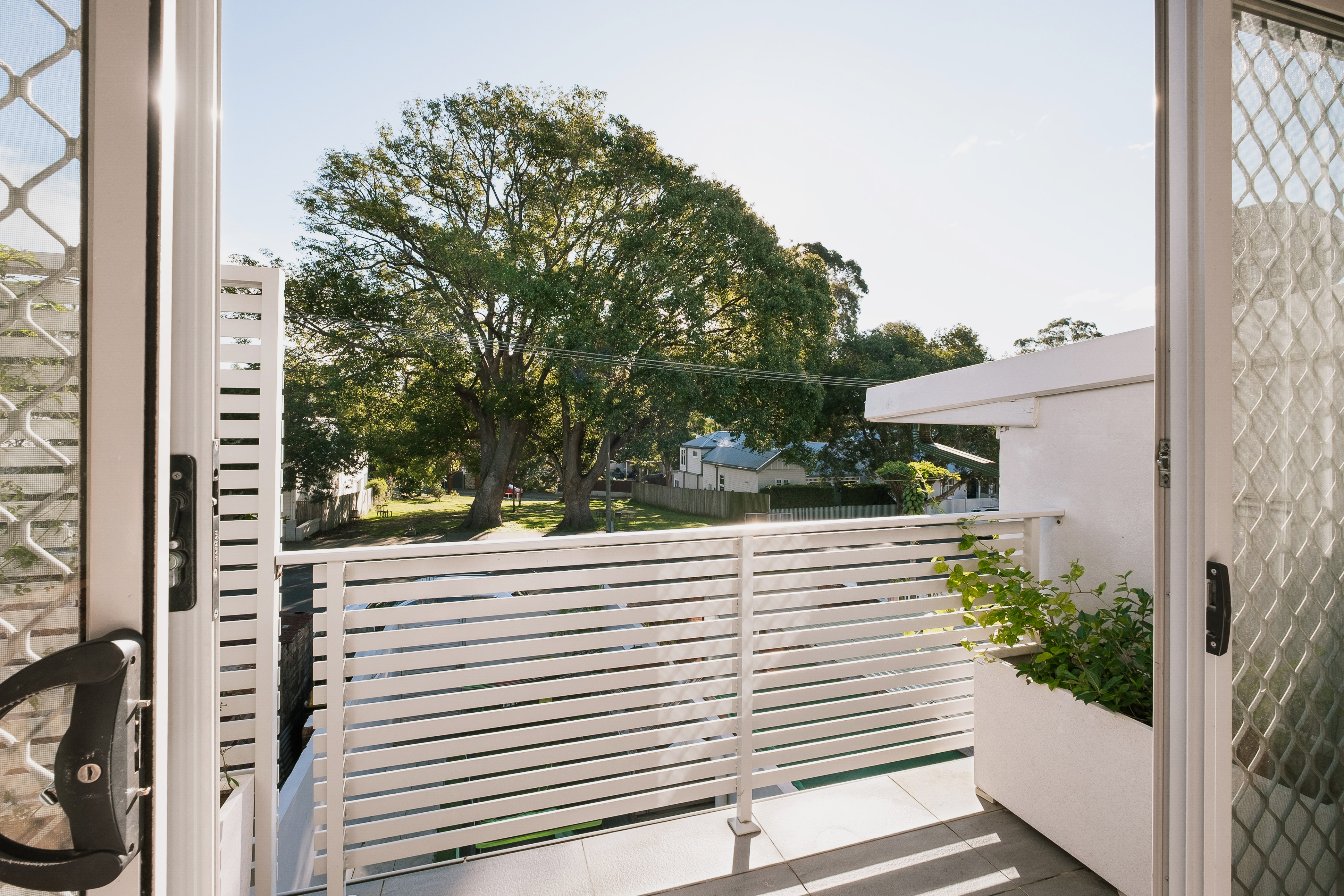Annandale Leased by Goodyer Real Estate - image 4